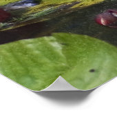 Black Crowned Night Heron Poster (Hoek)