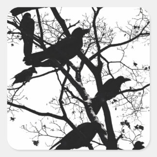 Black Crows Vierkante Sticker