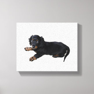 Black Dachshund Cocker Spaniel Puppy Foto Canvas Afdruk