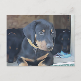 Black Doberman Puppy Briefkaart