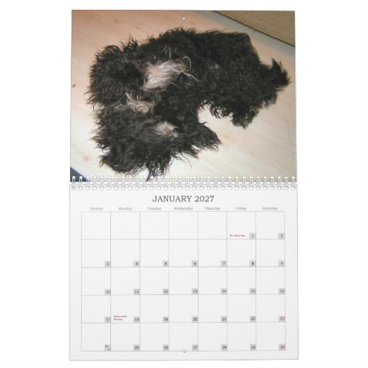 Black Dog Calendar 2010 Kalender (Jan 2027)