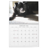 Black Dog Calendar 2010 Kalender (Feb 2026)