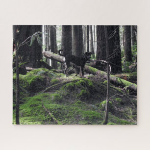 Black Dog Lab Shepherd Forest Bossen Afbeelding Fo Legpuzzel
