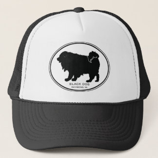 Black Dog Pet