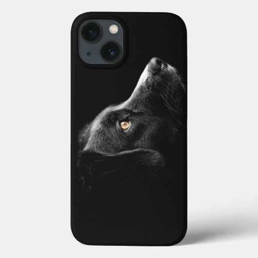 Black Dog Watching Case-Mate iPhone Case (Achterkant)