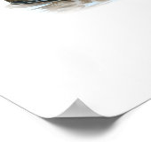 Black Duck Duo Poster (Hoek)