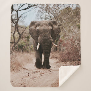 BLACK ELEPHANT WALT IN BROWN SAND SHERPA DEKEN