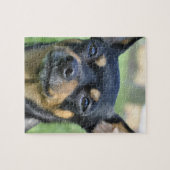 Black en Brown Chihuahua Puzzle Legpuzzel (Horizontaal)