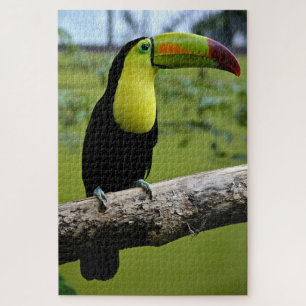 Black en Green Toucan op Tree Branch Legpuzzel