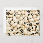 Black Eyed Peas Briefkaart (Voorkant / Achterkant)