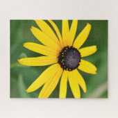 Black Eyed Susan - 16x20 520 pc. Puzzle floral (Horizontal)