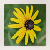 Black Eyed Susan - 20x20 - 676 pcs. Puzzle floral (Horizontal)
