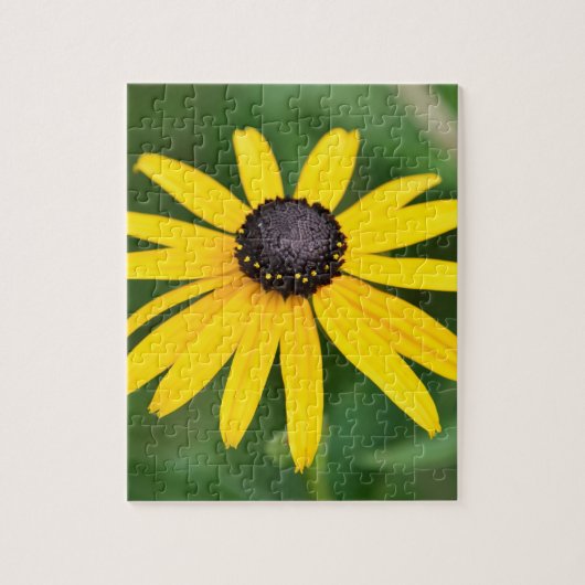 Black Eyed Susan - 8x10 110 pcs. Puzzle floral (Vertical)
