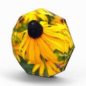 Black-Eyed Susan Acryl Fotoblok (Rechts)