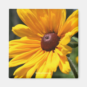 Black Eyed Susan Bloem Fotografie Magneet
