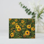 Black Eyed Susan bloemen Briefkaart (Staand voorkant)