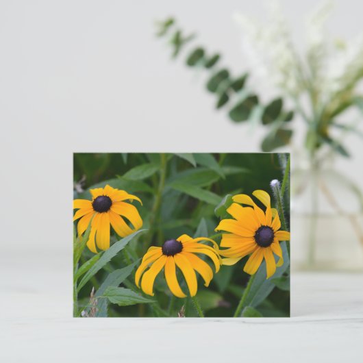 Black-Eyed Susan Briefkaart (Staand voorkant)