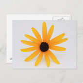 Black Eyed Susan Briefkaart (Voorkant / Achterkant)