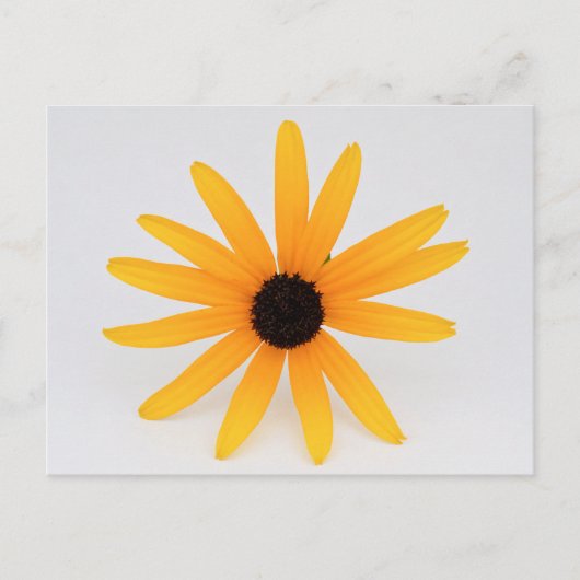 Black Eyed Susan Briefkaart (Voorkant)
