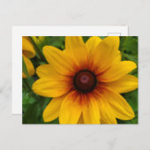 Black-Eyed Susan Briefkaart (Voorkant / Achterkant)