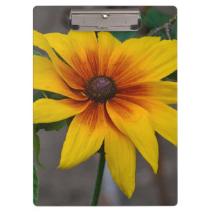 Black-Eyed Susan Clipboard Klembord