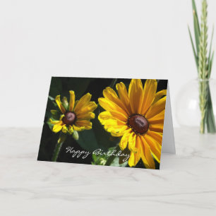 Black Eyed Susan Daisies Birthday Kaart