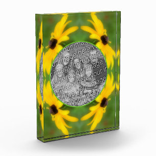 Black Eyed Susan Daisy Creëer Uw Eigen Fotoblokken