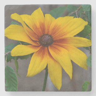 Black-eyed-Susan Floral Stenen Onderzetter