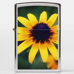 Black Eyed Susan Flower