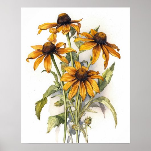 Black Eyed Susan Flower Art Imprimer Poster (Devant)