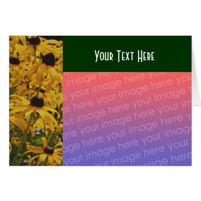Black Eyed Susan Flowers Carte photo (Devant horizontal)