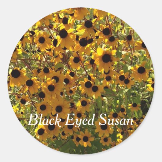 Black Eyed Susan Flowers Photo Votre Stickers Text (Devant)