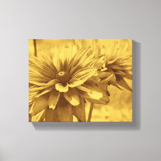 Black Eyed Susan Flowers Sepia Aged Kijk Canvas Afdruk (Voorkant)