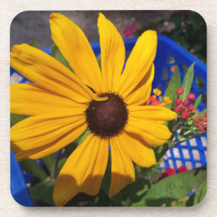 Black eyed-Susan front en center Bier Onderzetter