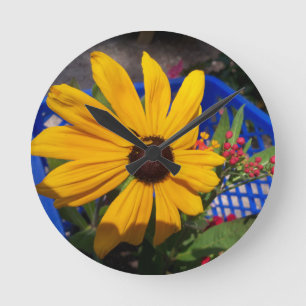 Black eyed-Susan front en center Ronde Klok