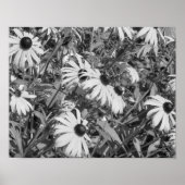 Black Eyed Susan Garden Black White Print (Voorkant)