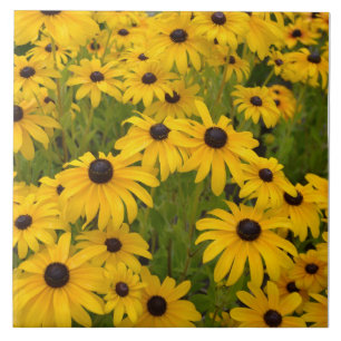 Black Eyed Susan Garden Ceramic Tile Tegeltje