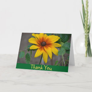 Black-Eyed Susan Hartelijk dank Bedankkaart
