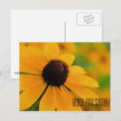 Black Eyed Susan Horizontal Briefkaart (Voorkant / Achterkant)
