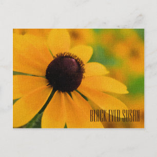 Black Eyed Susan Horizontal Briefkaart