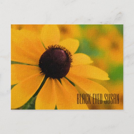 Black Eyed Susan Horizontal Briefkaart (Voorkant)