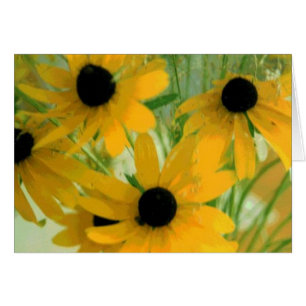 Black Eyed Susan Kaart