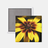 Black Eyed Susan Magnet (Recto/Verso)