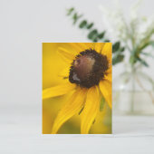 Black-Eyed Susan met een Teardrop Briefkaart (Staand voorkant)