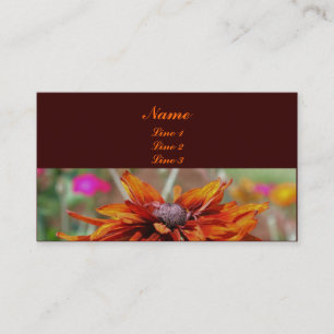Black Eyed Susan Natuur Photography Visitekaartje