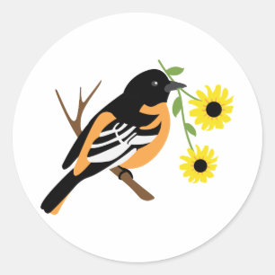 Black Eyed Susan Oriole Ronde Sticker