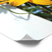 Black Eyed Susan Poster (Hoek)