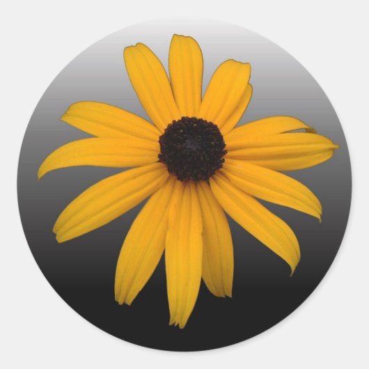 Black Eyed Susan Ronde Sticker (Voorkant)