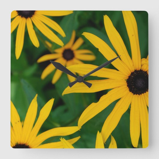 Black Eyed Susan Square Wall klok (Voorkant)