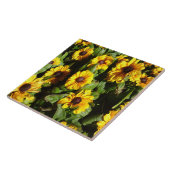 Black Eyed Susan Tegel Tegeltje (Zijkant)